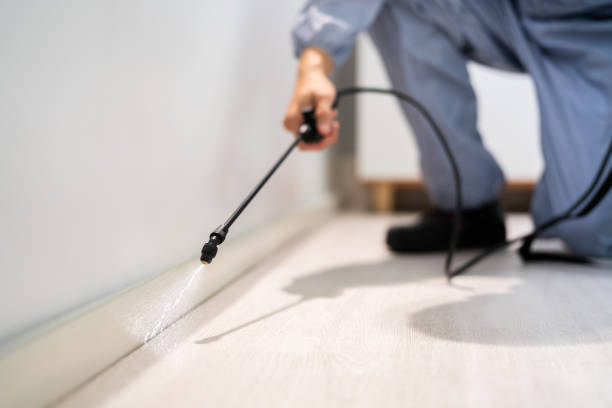Licensed Termite Control service in Bluffton, OH - Nex Pest Control