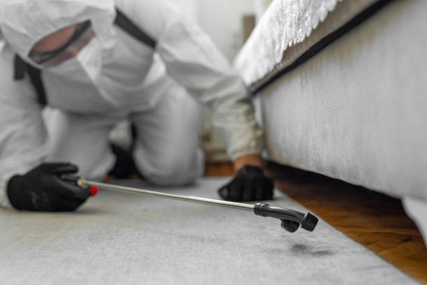 Professional Termite Control technician working in Bluffton, OH
