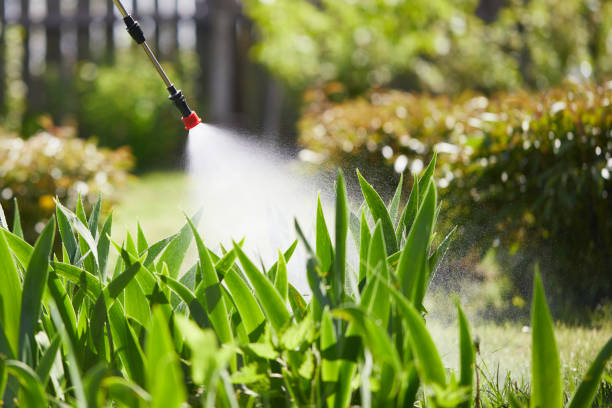 24/7 Emergency Termite Control experts in Bluffton, OH