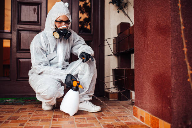 Reliable Termite Control contractor in Bluffton, OH by Nex Pest Control
