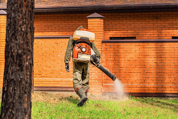 Top rated local Termite Control specialists in Bluffton, OH